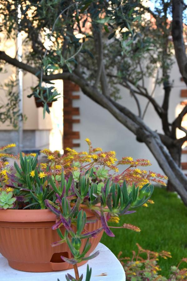 Greenvine Apartment Zadar Dış mekan fotoğraf