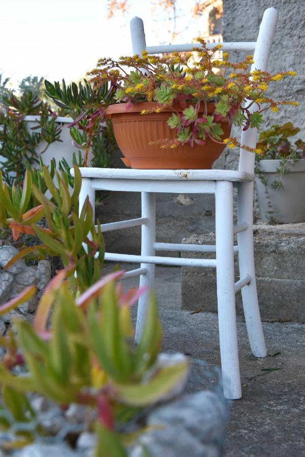 Greenvine Apartment Zadar Dış mekan fotoğraf