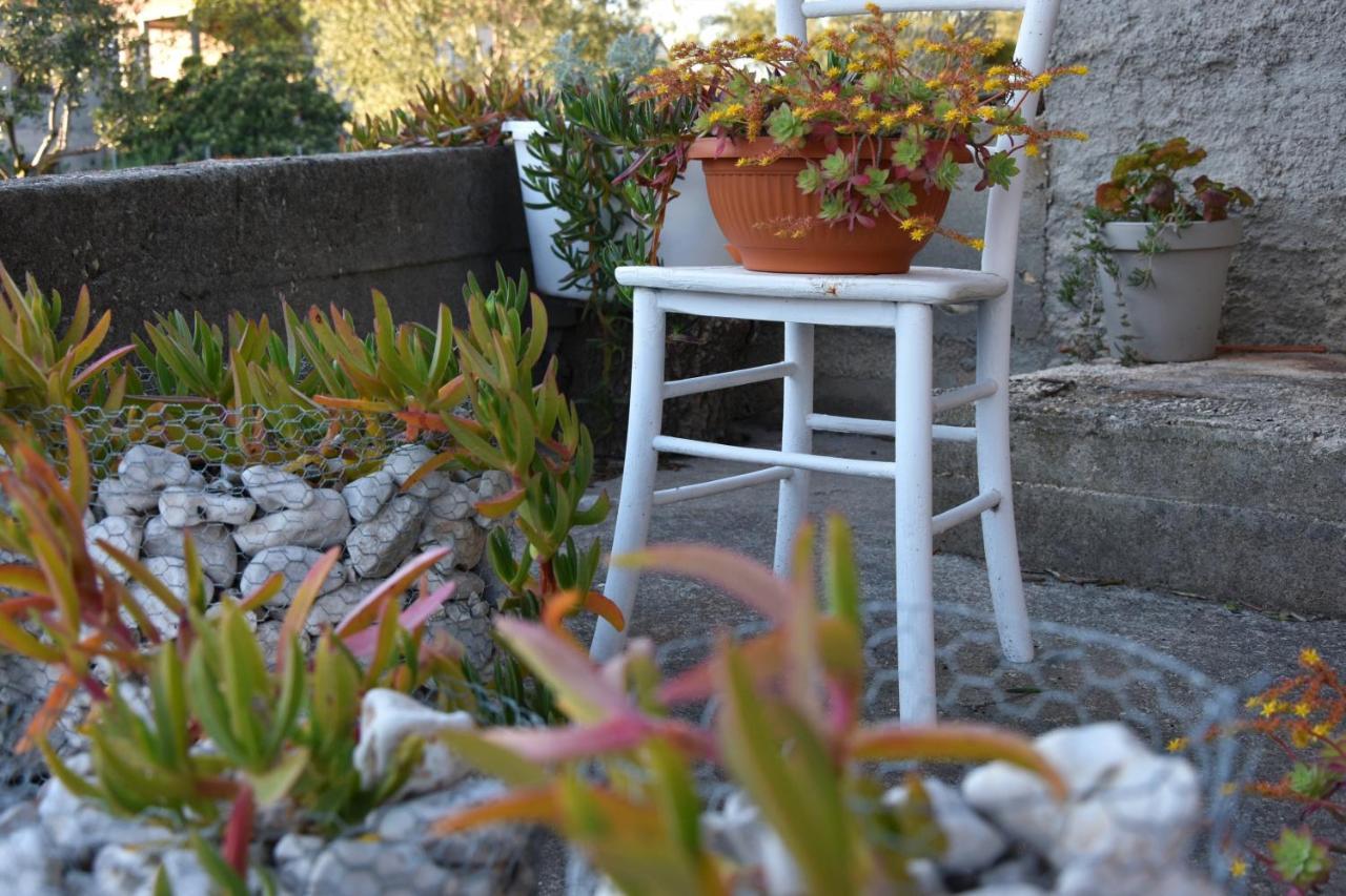 Greenvine Apartment Zadar Dış mekan fotoğraf